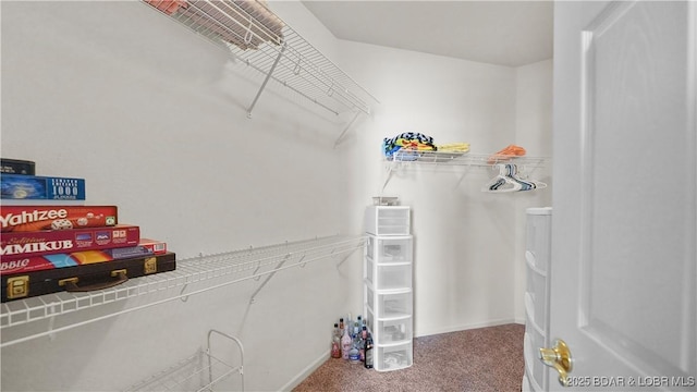 1230 Lands End Pkwy Unit 304, Osage Beach, MO 65065 - spacious closet featuring carpet floors