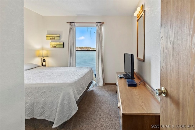 278 Lone Oak Pt Unit 18, Sunrise Beach, MO 65079 - bedroom featuring carpet floors