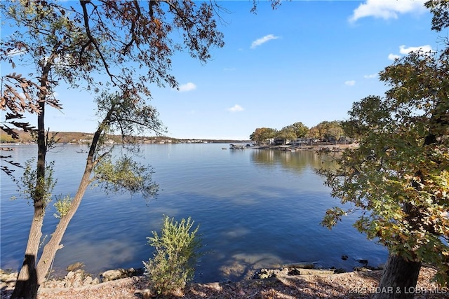 278 Lone Oak Pt Unit 18, Sunrise Beach, MO 65079 - water view