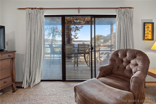 278 Lone Oak Pt Unit 18, Sunrise Beach, MO 65079 - living area with carpet