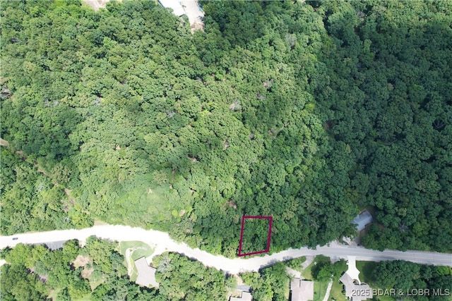 LOT127 Hogan Dr, Lake Ozark, MO 65049