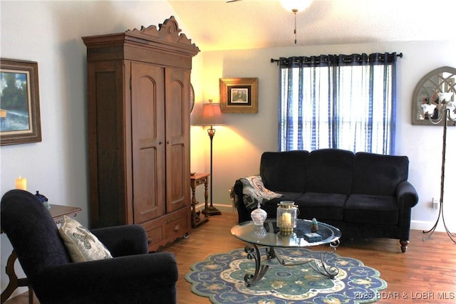 891 Azalea Ct, Osage Beach, MO 65065 - living area featuring wood finished floors and ceiling fan