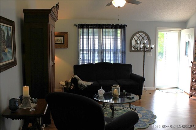 891 Azalea Ct, Osage Beach, MO 65065 - living area featuring light wood-style floors and a ceiling fan