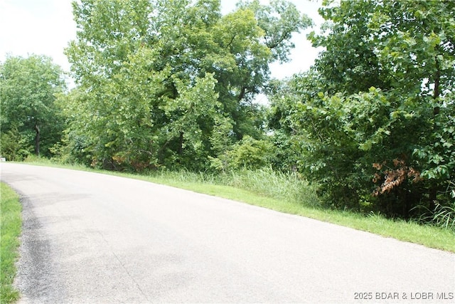 16 Eagle Bay Dr, Gravois Mills, MO 65037 - photo 33
