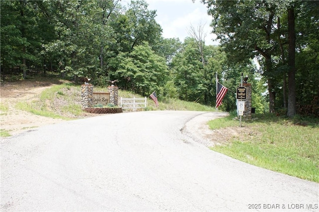 16 Eagle Bay Dr, Gravois Mills, MO 65037 - photo 30