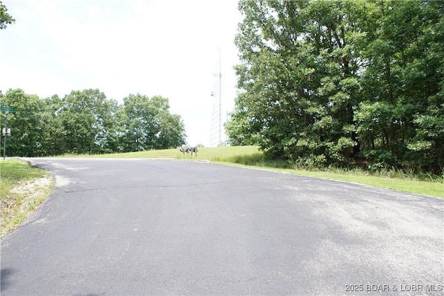 16 Eagle Bay Dr, Gravois Mills, MO 65037 - photo 26