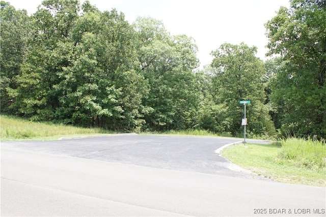 16 Eagle Bay Dr, Gravois Mills, MO 65037 - photo 27