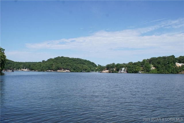16 Eagle Bay Dr, Gravois Mills, MO 65037 - photo 4