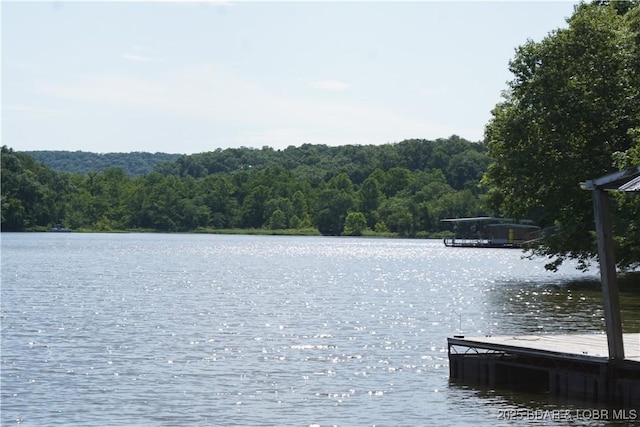 16 Eagle Bay Dr, Gravois Mills, MO 65037 - photo 5