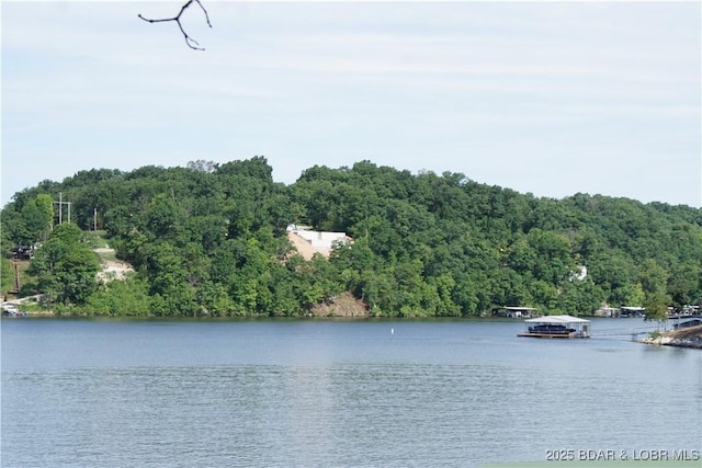 16 Eagle Bay Dr, Gravois Mills, MO 65037 - photo 20