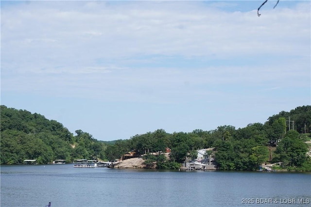 16 Eagle Bay Dr, Gravois Mills, MO 65037 - photo 21
