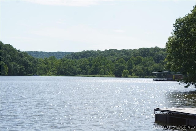 16 Eagle Bay Dr, Gravois Mills, MO 65037 - photo 22