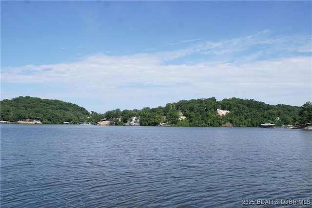 16 Eagle Bay Dr, Gravois Mills, MO 65037 - photo 23