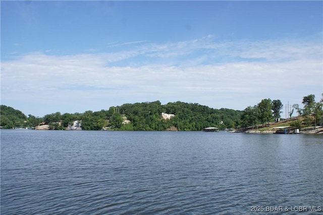 16 Eagle Bay Dr, Gravois Mills, MO 65037 - photo 24
