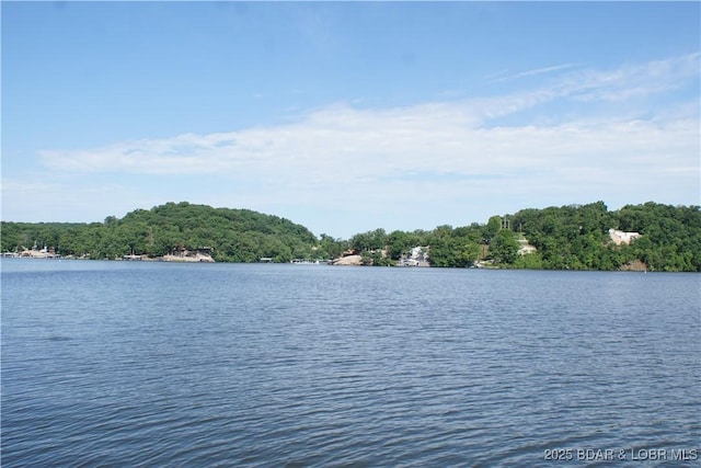 16 Eagle Bay Dr, Gravois Mills, MO 65037 - photo 25