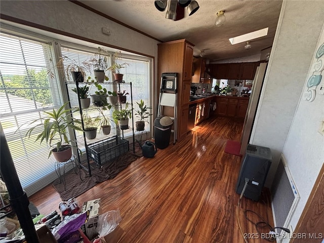 17362 Country Life Rd, Gravois Mills, MO 65037 - living area with dark wood-style floors, a skylight, a textured ceiling, vaulted ceiling, and a textured wall