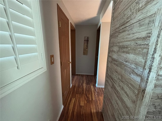 17362 Country Life Rd, Gravois Mills, MO 65037 - hall featuring wood walls and dark wood-style floors
