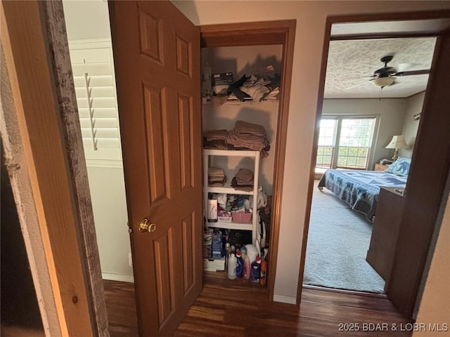 17362 Country Life Rd, Gravois Mills, MO 65037 - view of closet