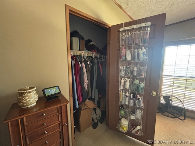 17362 Country Life Rd, Gravois Mills, MO 65037 - spacious closet featuring carpet