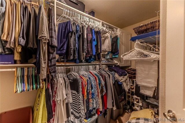 326 Bloomington Dr, Four Seasons, MO 65049 - view of spacious closet