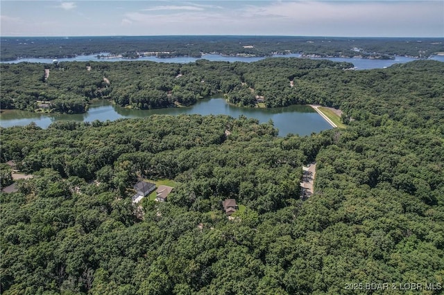 326 Bloomington Dr, Four Seasons, MO 65049 - aerial view of a forest and a nearby body of water