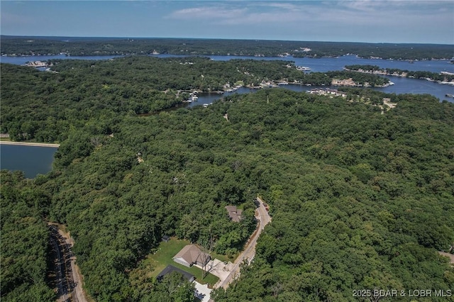 326 Bloomington Dr, Four Seasons, MO 65049 - drone / aerial view of a forest and a large body of water