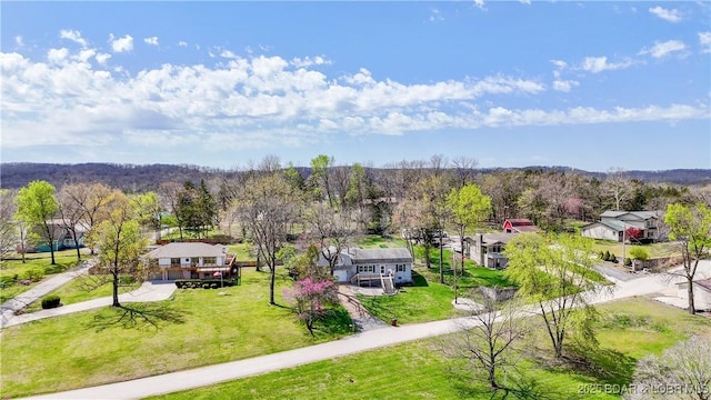 160 Bridgeview Rd, Camdenton, MO 65020 - photo 36