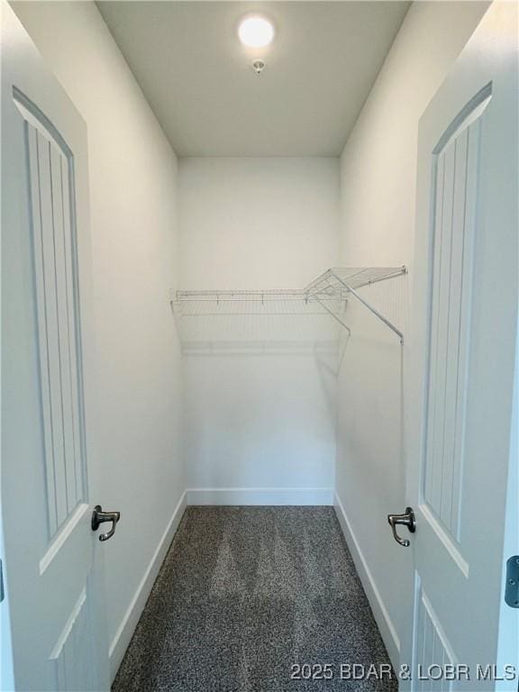 295 Highland Shores Dr Unit 5F, Lake Ozark, MO 65049 - walk in closet with carpet