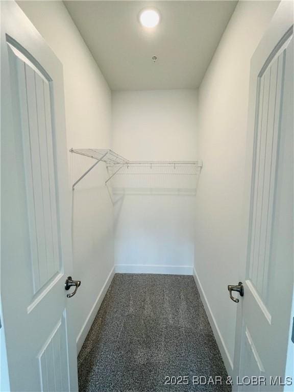 295 Highland Shores Dr Unit 4D, Lake Ozark, MO 65049 - walk in closet with carpet flooring