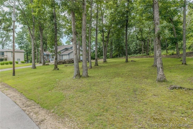 565 Ponderosa Dr, Camdenton, MO 65020 - photo 7
