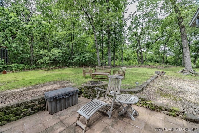 565 Ponderosa Dr, Camdenton, MO 65020 - photo 44