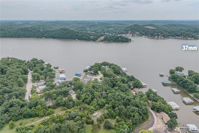 565 Ponderosa Dr, Camdenton, MO 65020 - photo 48