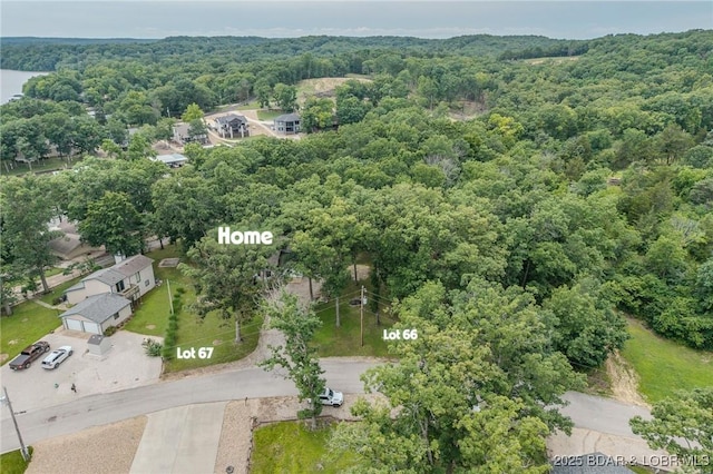 565 Ponderosa Dr, Camdenton, MO 65020 - photo 49