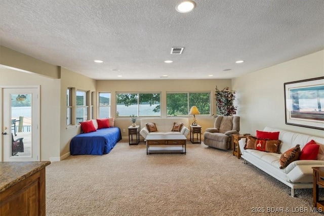 97 Random Rd, Edwards, MO 65326 - living room with carpet floors, a textured ceiling, and recessed lighting