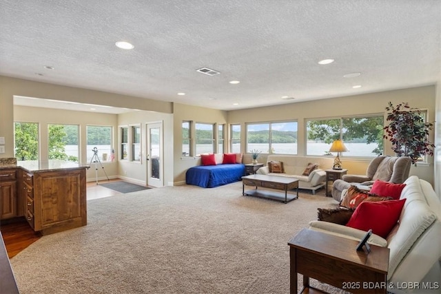 97 Random Rd, Edwards, MO 65326 - living area with a textured ceiling, healthy amount of natural light, a water view, recessed lighting, and carpet
