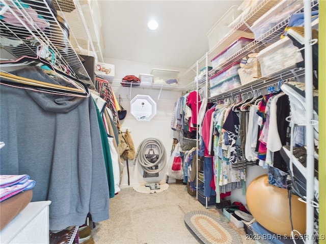 1620 Triple Cove Ln, Climax Springs, MO 65324 - walk in closet featuring carpet flooring