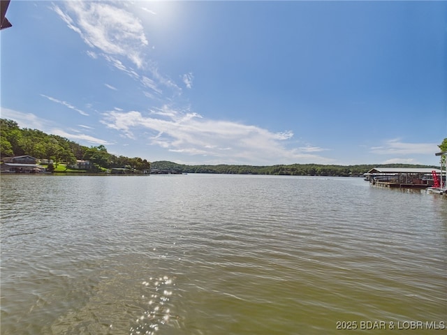 1620 Triple Cove Ln, Climax Springs, MO 65324 - water view