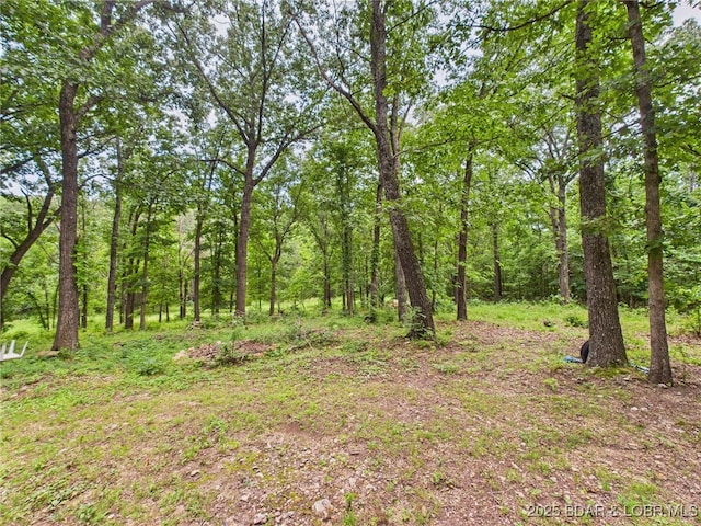850 Pea Ridge Rd, Brumley, MO 65017 - photo 26