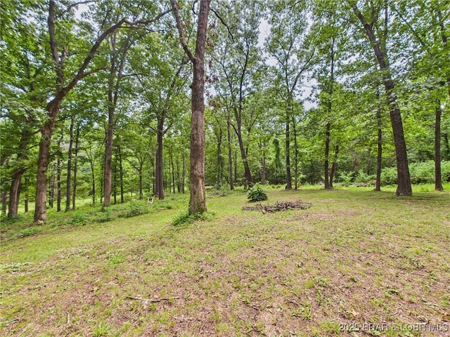 850 Pea Ridge Rd, Brumley, MO 65017 - photo 27