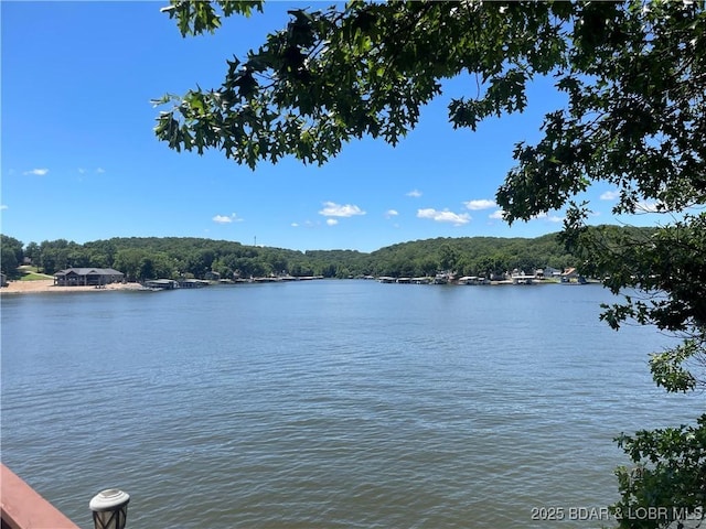 192 Ke Jo Point Rd, Gravois Mills, MO 65037 - water view featuring a forest