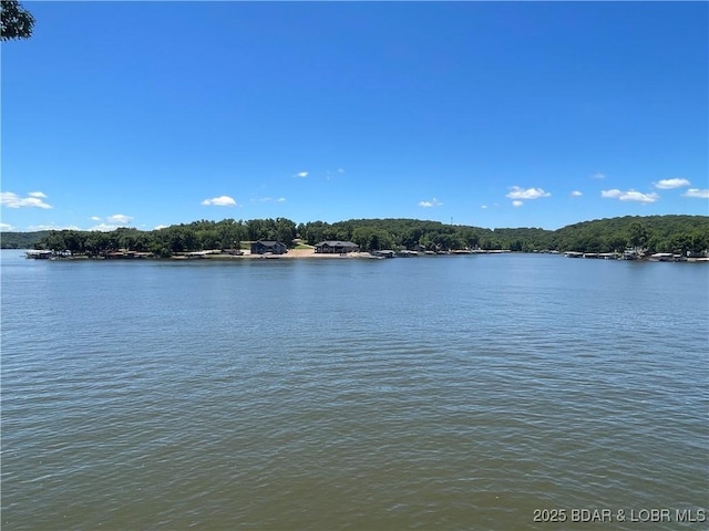 192 Ke Jo Point Rd, Gravois Mills, MO 65037 - water view