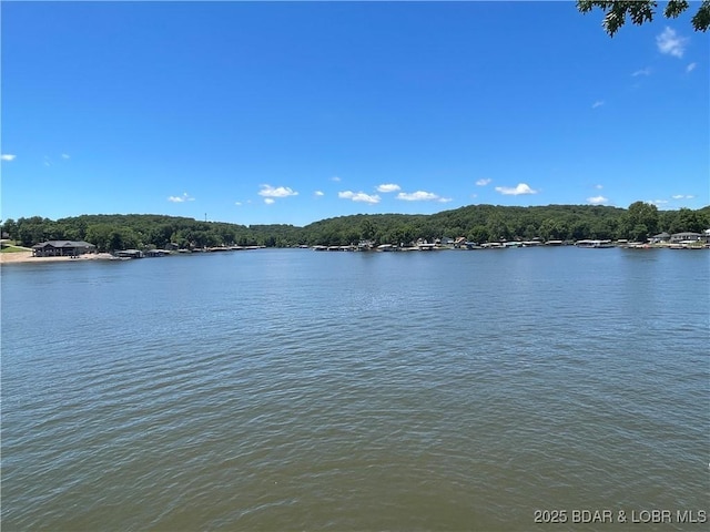 192 Ke Jo Point Rd, Gravois Mills, MO 65037 - water view with a heavily wooded area