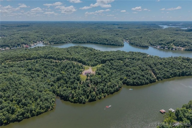 26450 Eaglepoint Rd Unit 1417, Dry Branch, Barnett, MO 65011 - photo 37