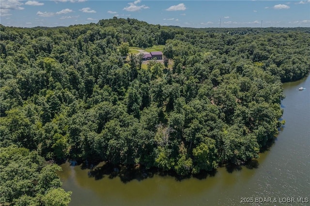 26450 Eaglepoint Rd Unit 1417, Dry Branch, Barnett, MO 65011 - photo 42