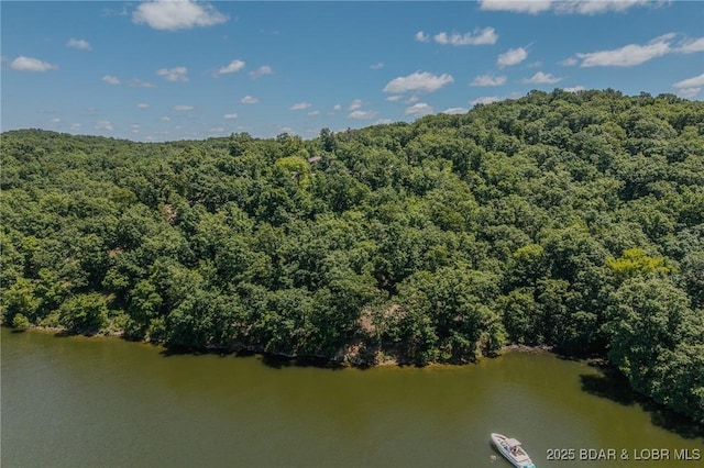 26450 Eaglepoint Rd Unit 1417, Dry Branch, Barnett, MO 65011 - photo 43