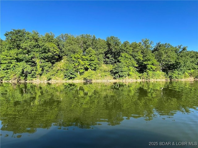 26450 Eaglepoint Rd Unit 1417, Dry Branch, Barnett, MO 65011 - photo 2