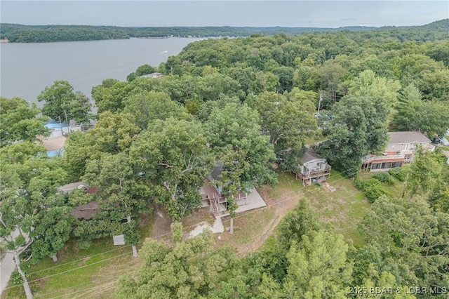 54 White Rock Ln, Sunrise Beach, MO 65079 - aerial view of property's location featuring a heavily wooded area and a nearby body of water