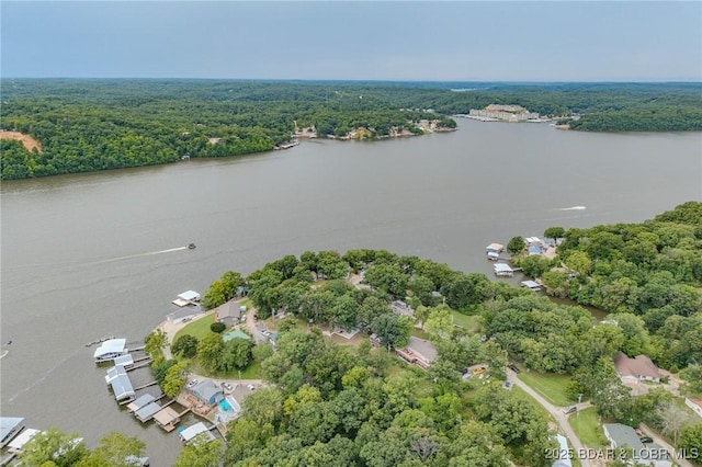 54 White Rock Ln, Sunrise Beach, MO 65079 - bird's eye view of a forest and a large body of water