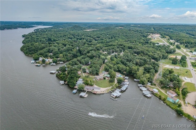 54 White Rock Ln, Sunrise Beach, MO 65079 - bird's eye view of a forest and a large body of water