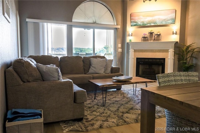 46 Aqua Fin Dr Unit 4A, Lake Ozark, MO 65049 - living area featuring a fireplace and wood finished floors
